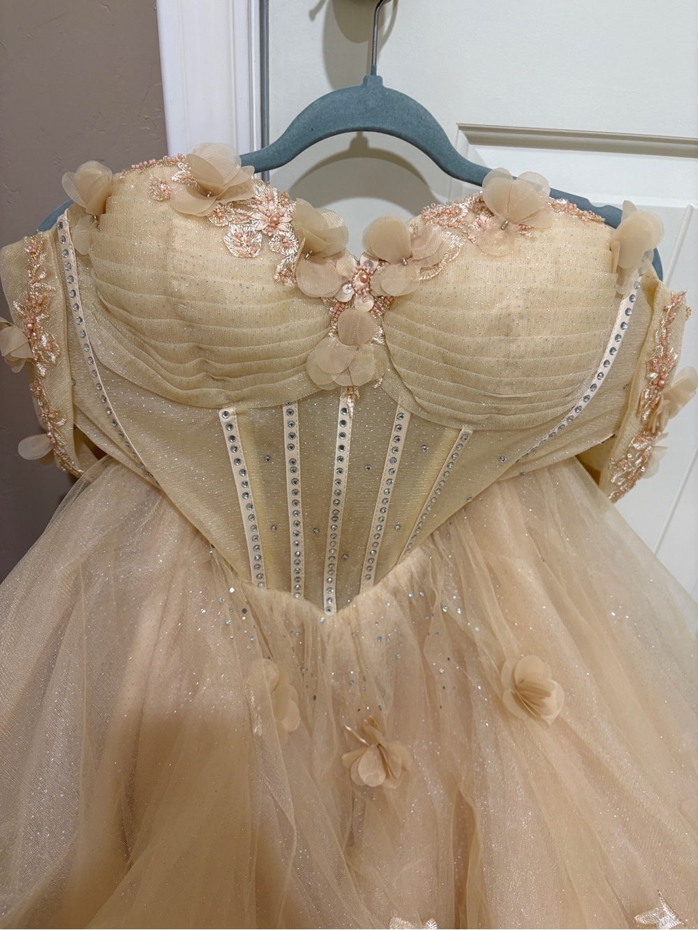 Champagne Tulle Ball Gown with Floral Appliqués - Picture 10 of 11